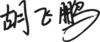 胡飞鹏签名.png